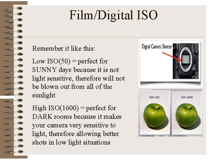 Film/Digital ISO Remember it like this: Low ISO(50) = perfect for SUNNY days because