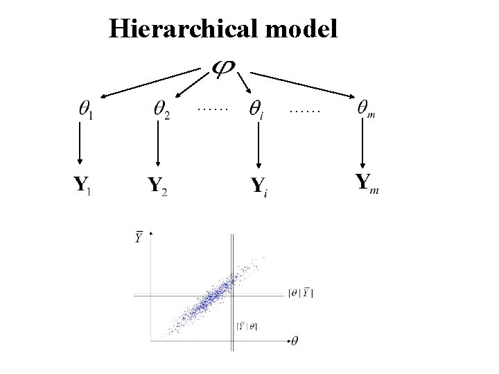 Hierarchical model …… …… 