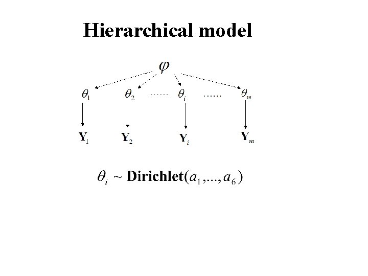 Hierarchical model 