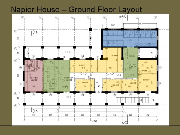 Napier House – Ground Floor Layout 