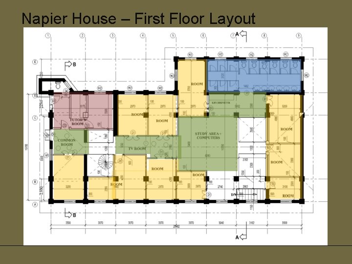 Napier House – First Floor Layout 