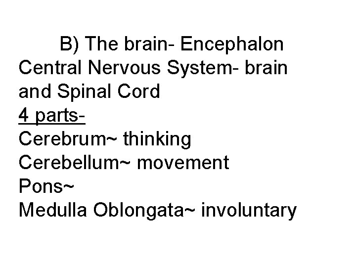 B) The brain- Encephalon Central Nervous System- brain and Spinal Cord 4 parts. Cerebrum~