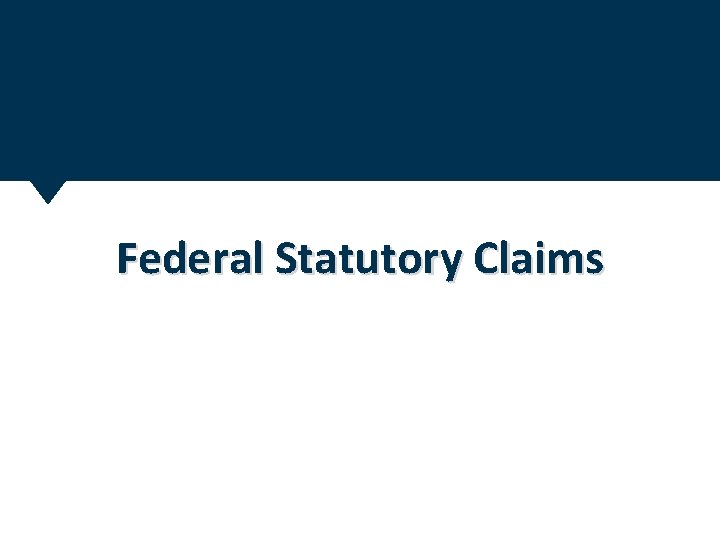 Federal Statutory Claims 