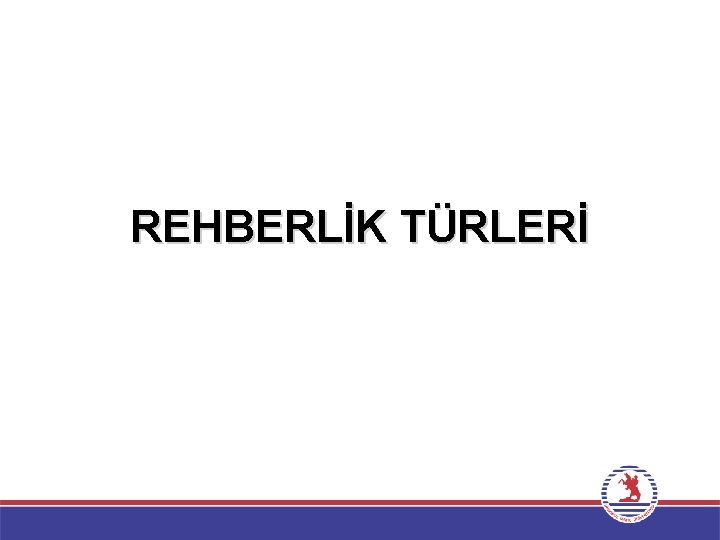 REHBERLİK TÜRLERİ 