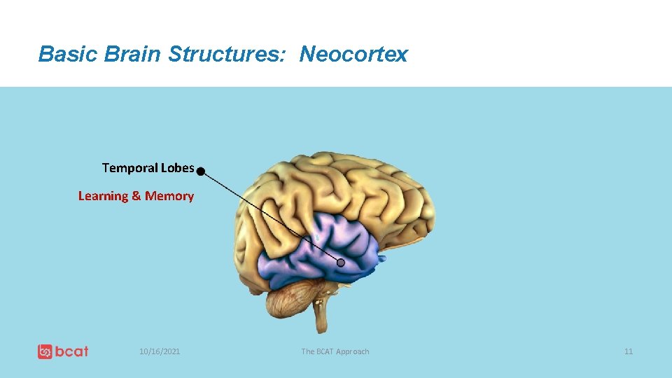 Basic Brain Structures: Neocortex Temporal Lobes Learning & Memory 10/16/2021 The BCAT Approach 11