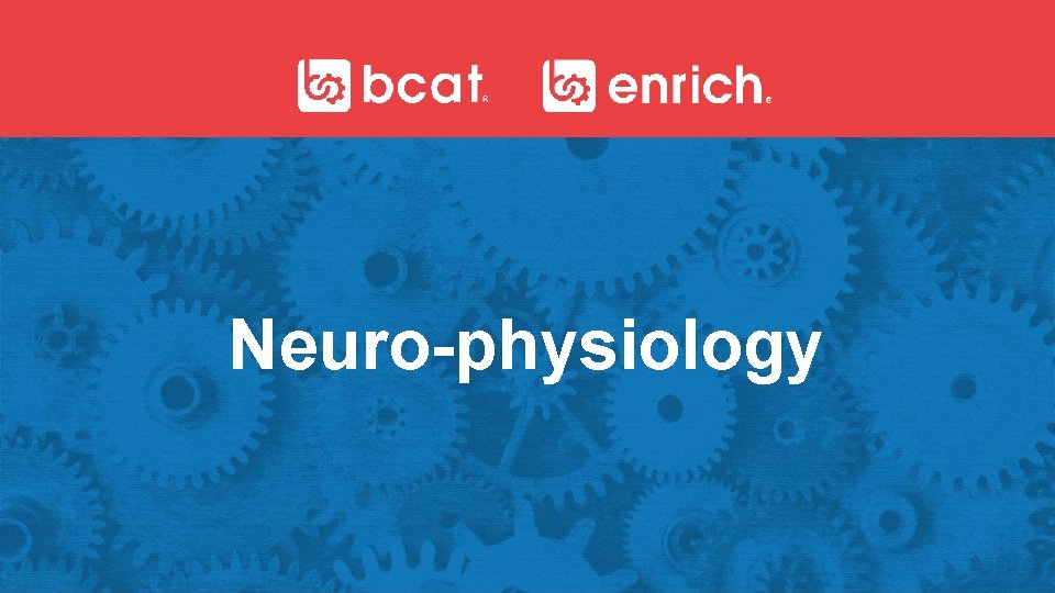 Neuro-physiology 