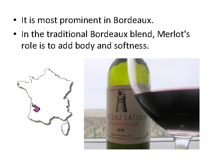  • It is most prominent in Bordeaux. • In the traditional Bordeaux blend,