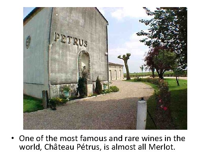  • One of the most famous and rare wines in the world, Château