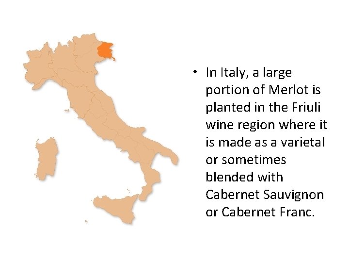  • In Italy, a large portion of Merlot is planted in the Friuli