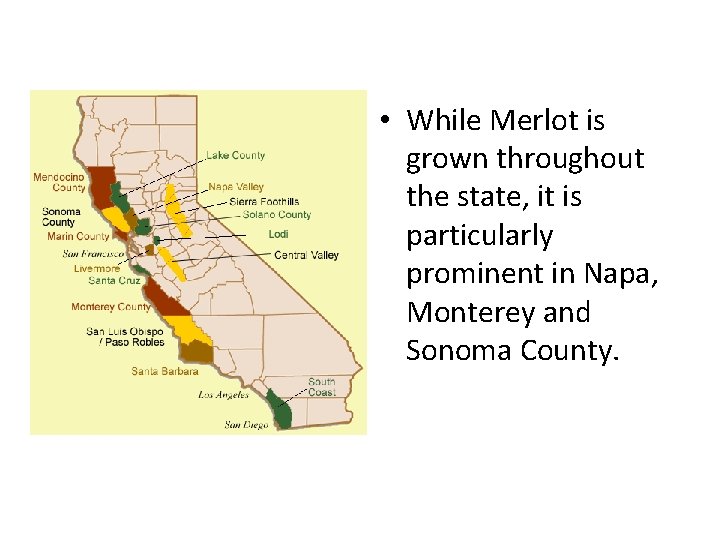  • While Merlot is grown throughout the state, it is particularly prominent in