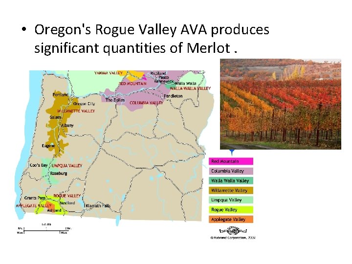  • Oregon's Rogue Valley AVA produces significant quantities of Merlot. 