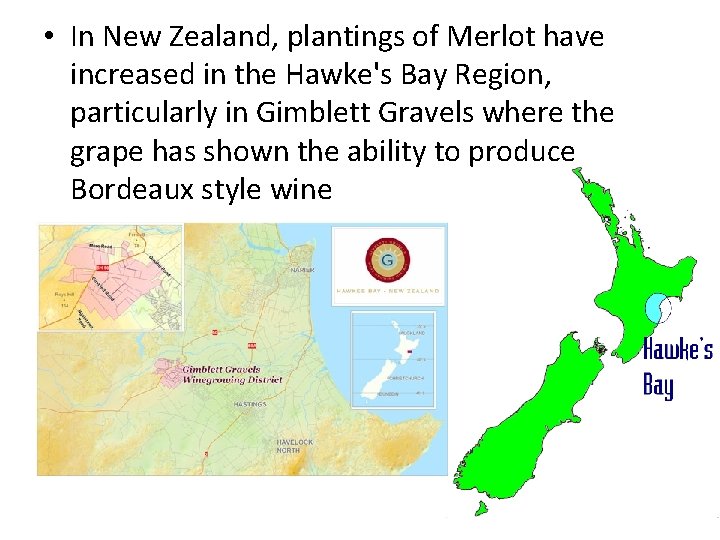 • In New Zealand, plantings of Merlot have increased in the Hawke's Bay