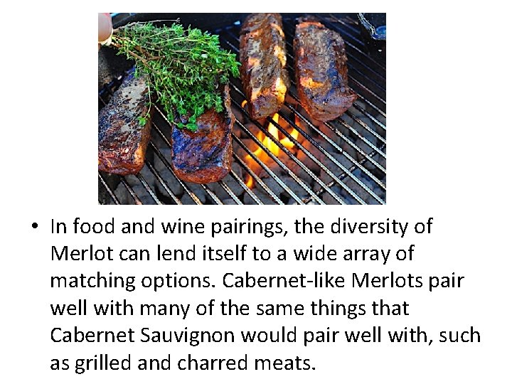  • In food and wine pairings, the diversity of Merlot can lend itself