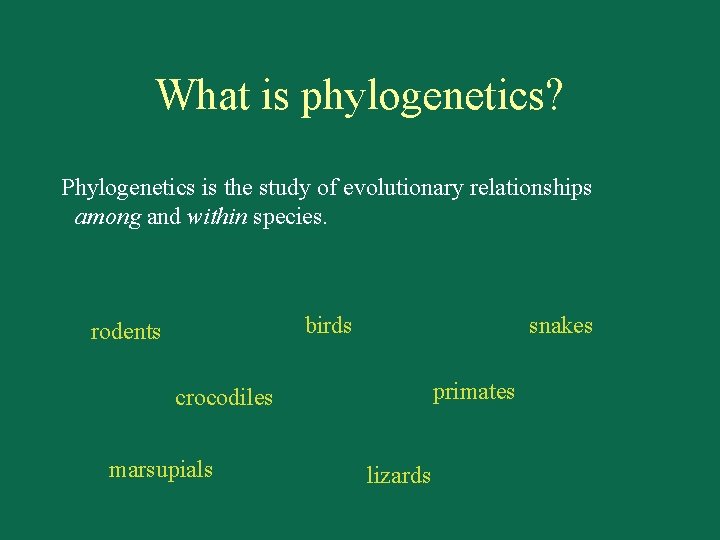 What is phylogenetics? Phylogenetics is the study of evolutionary relationships among and within species.