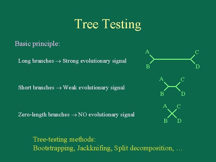 Tree Testing Basic principle: Long branches Strong evolutionary signal Short branches Weak evolutionary signal