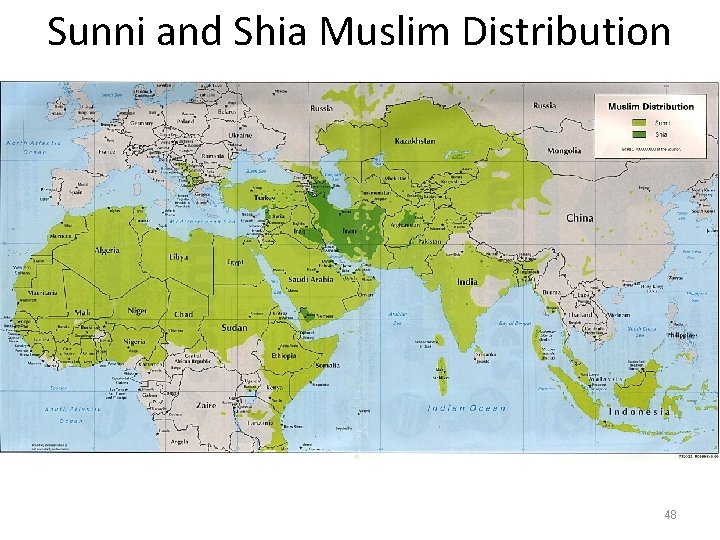 Sunni and Shia Muslim Distribution 48 