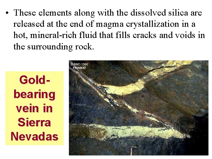 • These elements along with the dissolved silica are released at the end  • These elements along with the dissolved silica are released at the end