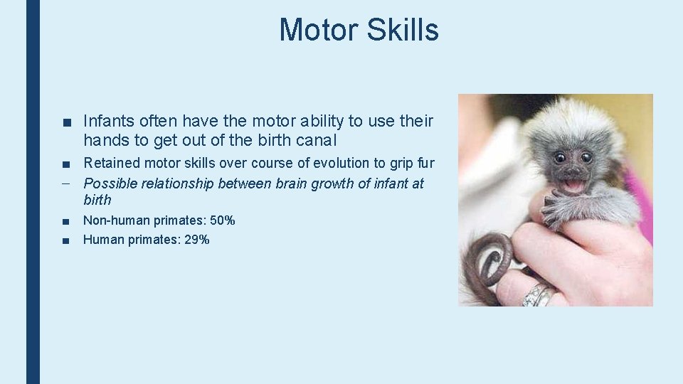 Motor Skills ■ Infants often have the motor ability to use their hands to
