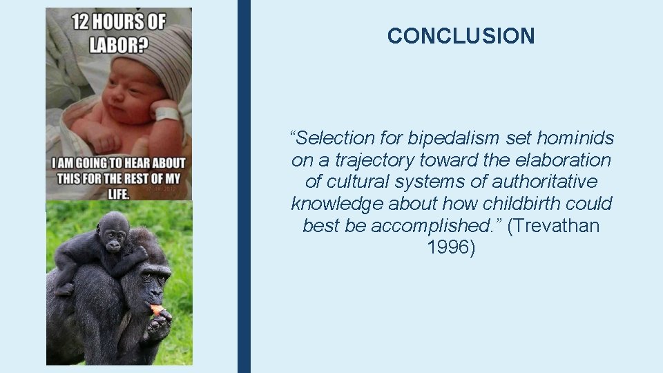 CONCLUSION “Selection for bipedalism set hominids on a trajectory toward the elaboration of cultural