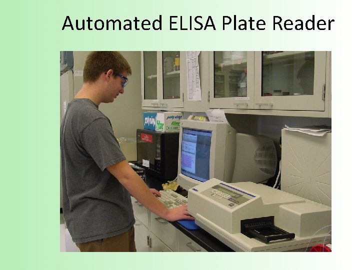 Automated ELISA Plate Reader 