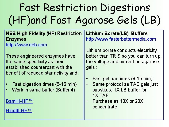 Fast Restriction Digestions (HF)and Fast Agarose Gels (LB) NEB High Fidelity (HF) Restriction Lithium