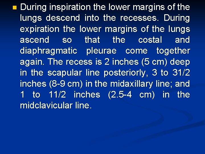 n During inspiration the lower margins of the lungs descend into the recesses. During