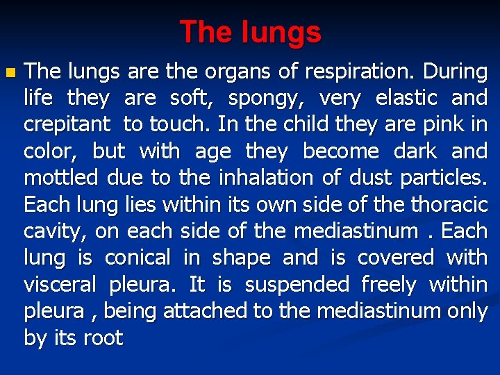 The lungs n The lungs are the organs of respiration. During life they are