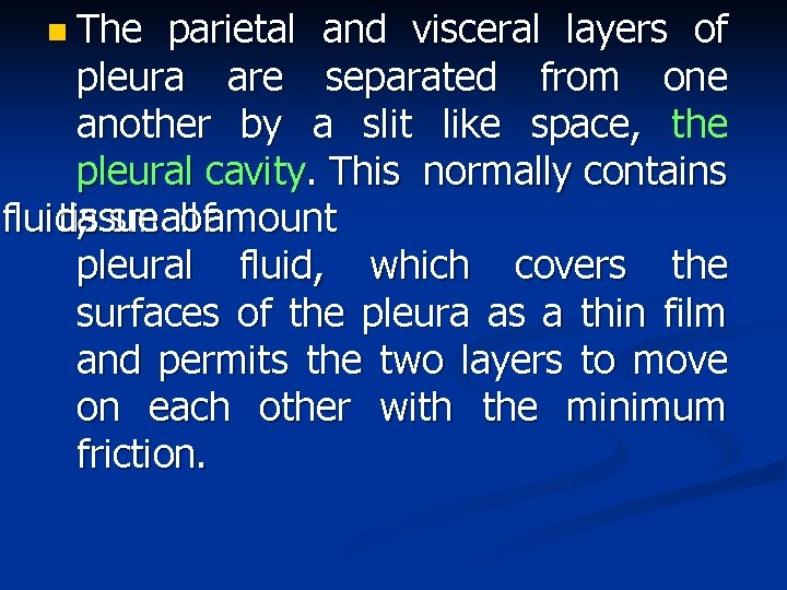 n The parietal and visceral layers of pleura are separated from one another by