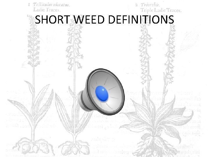 SHORT WEED DEFINITIONS 