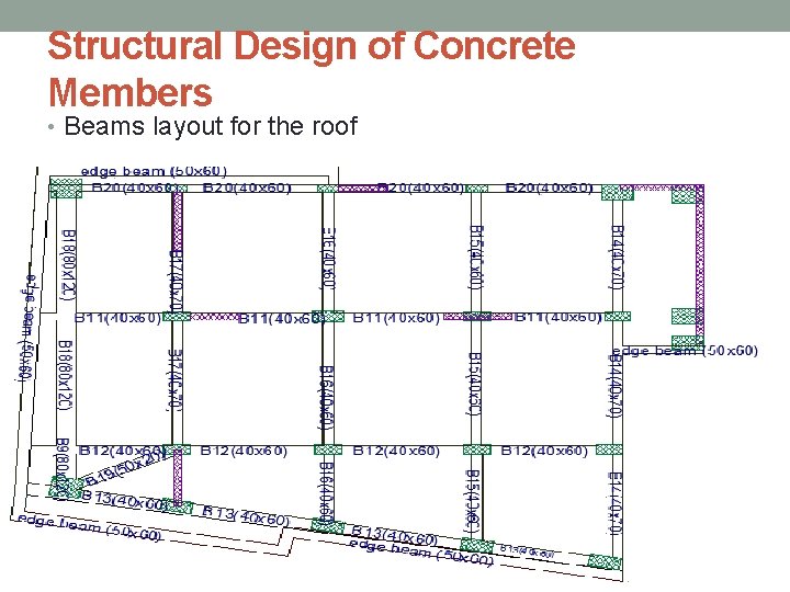 Structural Design of Concrete Members • Beams layout for the roof 