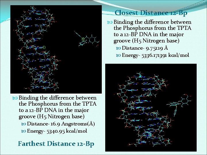 Closest Distance 12 -Bp Binding the difference between the Phosphorus from the TPTA to