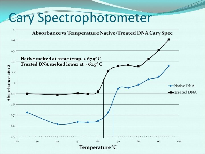 Cary Spectrophotometer Native melted at same temp. ≈ 67. 5° C Treated DNA melted