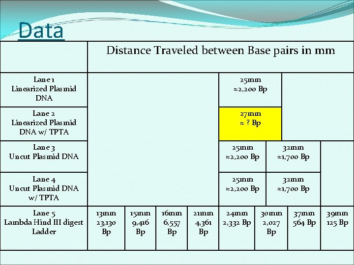 Data Distance Traveled between Base pairs in mm Lane 1 Linearized Plasmid DNA 25