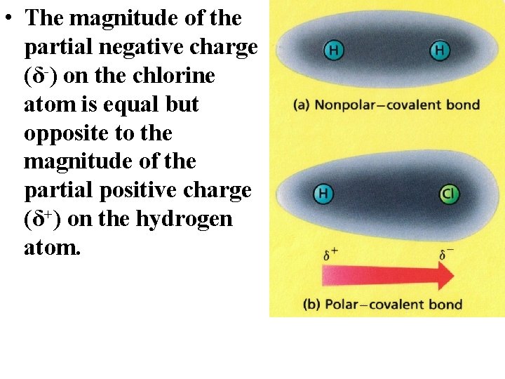  • The magnitude of the partial negative charge (δ-) on the chlorine atom