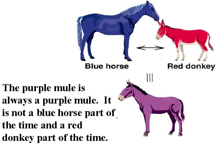 The purple mule is always a purple mule. It is not a blue horse
