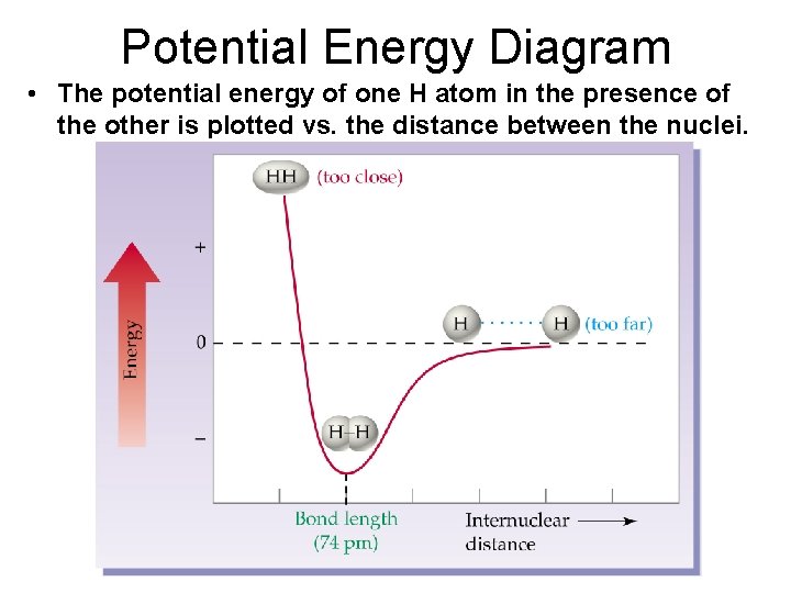Potential Energy Diagram • The potential energy of one H atom in the presence