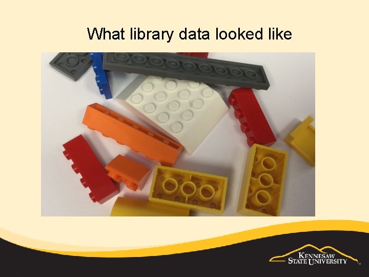 What library data looked like 