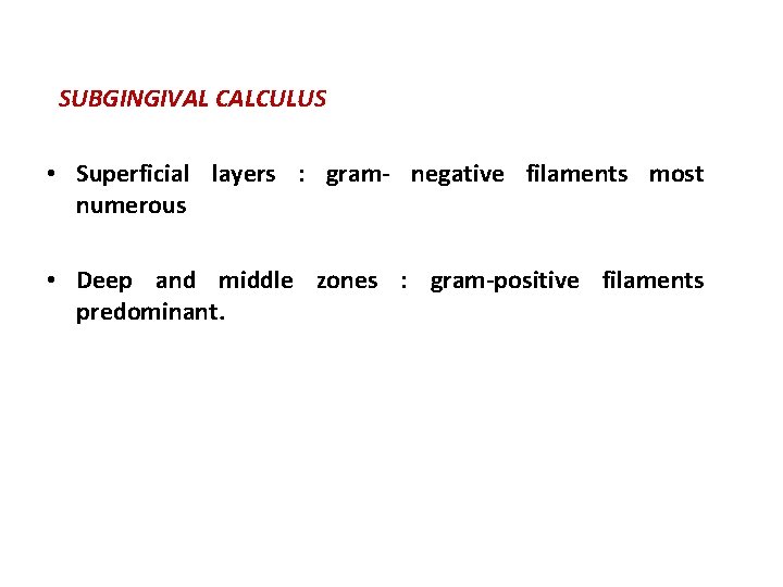 SUBGINGIVAL CALCULUS • Superficial layers : gram- negative filaments most numerous • Deep and
