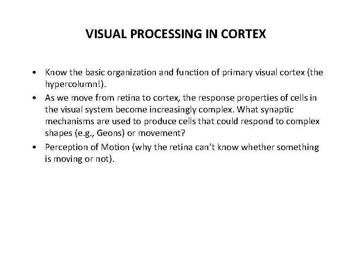VISUAL PROCESSING IN CORTEX • Know the basic organization and function of primary visual