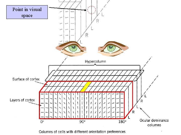 Point in visual space 