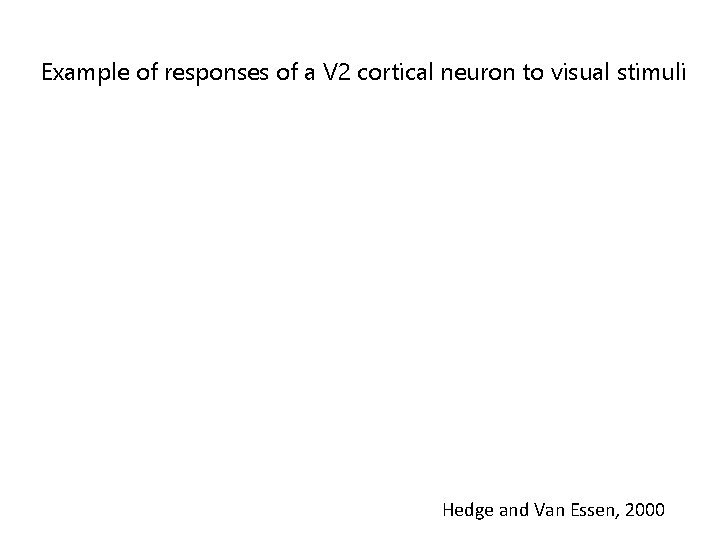 Example of responses of a V 2 cortical neuron to visual stimuli Hedge and