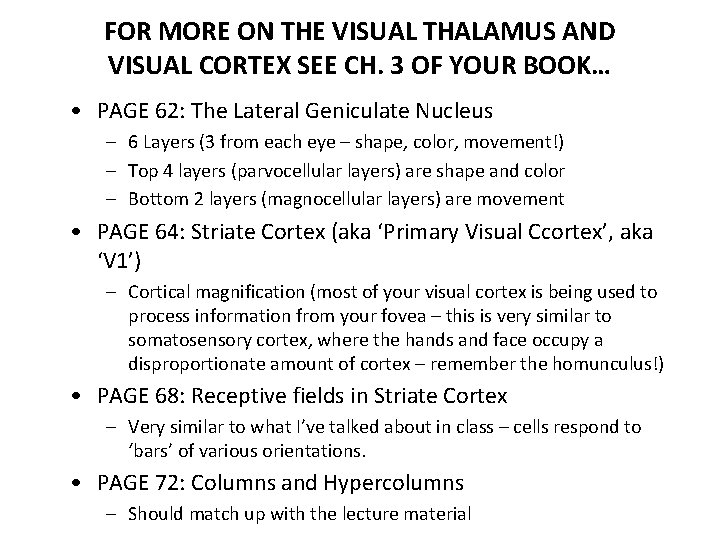 FOR MORE ON THE VISUAL THALAMUS AND VISUAL CORTEX SEE CH. 3 OF YOUR