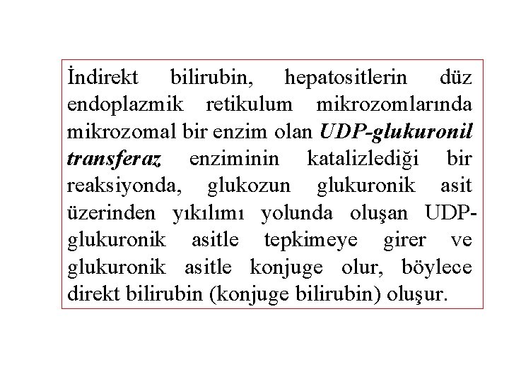 İndirekt bilirubin, hepatositlerin düz endoplazmik retikulum mikrozomlarında mikrozomal bir enzim olan UDP-glukuronil transferaz enziminin