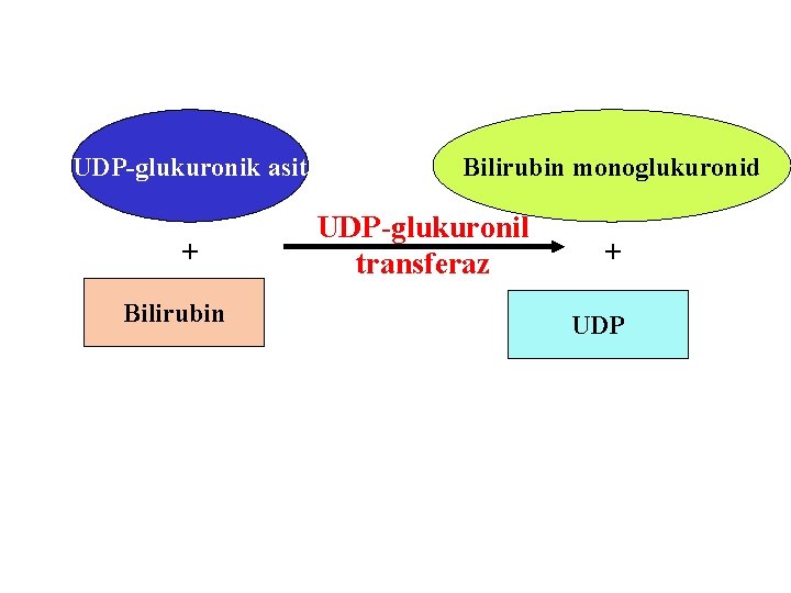 UDP-glukuronik asit + Bilirubin monoglukuronid UDP-glukuronil transferaz + UDP 