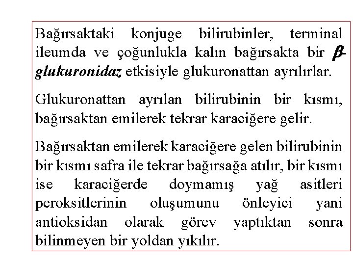 Bağırsaktaki konjuge bilirubinler, terminal ileumda ve çoğunlukla kalın bağırsakta bir glukuronidaz etkisiyle glukuronattan ayrılırlar.