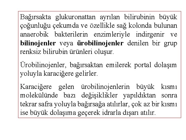 Bağırsakta glukuronattan ayrılan bilirubinin büyük çoğunluğu çekumda ve özellikle sağ kolonda bulunan anaerobik bakterilerin