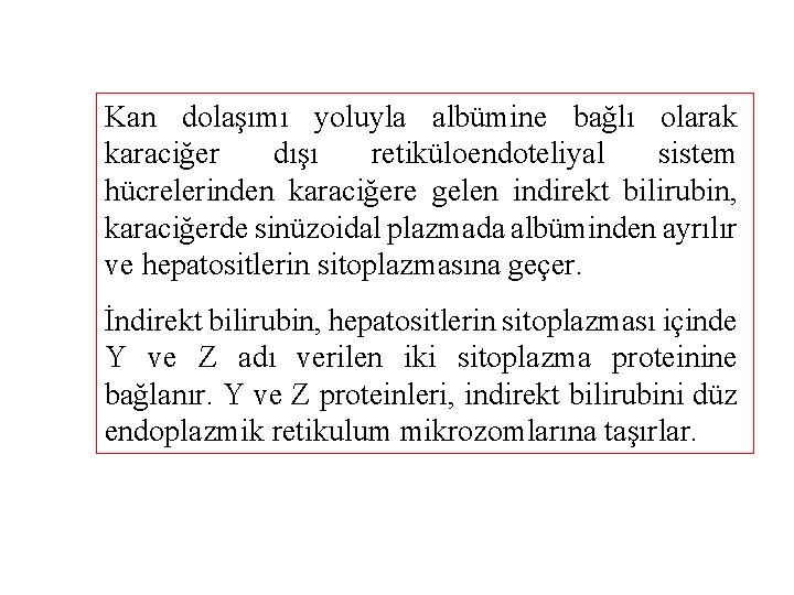 Kan dolaşımı yoluyla albümine bağlı olarak karaciğer dışı retiküloendoteliyal sistem hücrelerinden karaciğere gelen indirekt