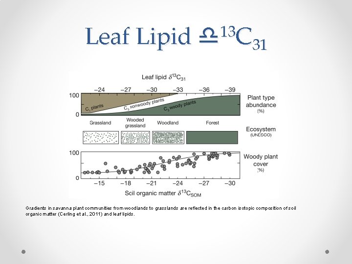 Leaf Lipid 13 d C 31 Gradients in savanna plant communities from woodlands to