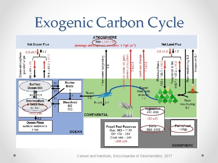 Exogenic Carbon Cycle Canuel and Hardison, Encyclopedia of Geochemistry, 2017 