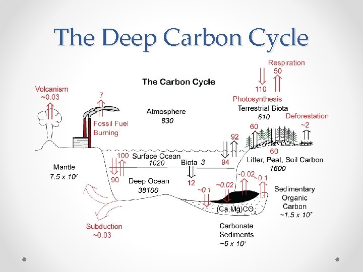 The Deep Carbon Cycle 